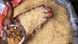 22 dead after deadly crush at an event offering free food