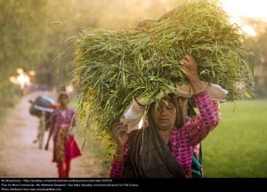 Rules for Nairobians visiting Ushago this Christmas