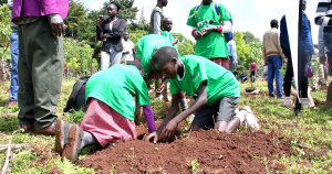 Presidential award winner ramps up tree planting efforts