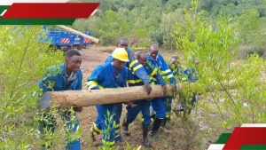 Kenyan Youths Pocket Over KSh 3.8 Billion in Business Tenders from KPLC