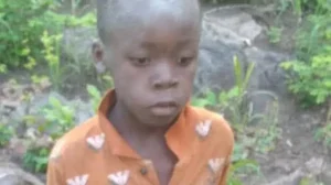 Boy, 8, survives five days in lion-inhabited game park