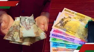 Kenyan Shilling Gains Against East African Currencies