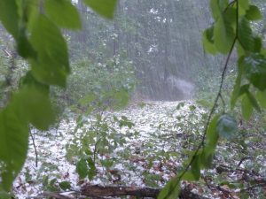 Nyeri’s ‘Snowfall’ Stirs Excitement, But Was It Really Snow?