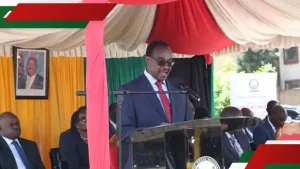 KCSE Results: Over 40k Candidates Score Es in 2024 National Exam, CS Ogamba Announces
