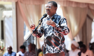 Wetang’ula calls for swift probe into abductions