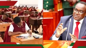 KCSE 2024 Results: Students Share Concerns as They Await Grades, Cite Use of Random Index Numbers