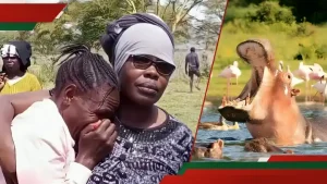 Nakuru: Tears as Hippopotamus Kills Fisherman Allegedly Fleeing from Coast Guards in Lake Naivasha
