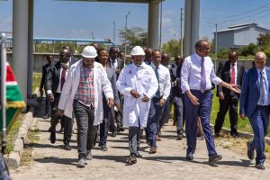 Kenya targets Ksh 175B boost from leather industry by 2025