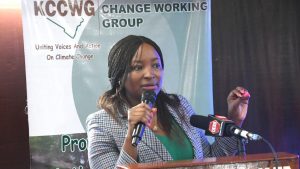 Mbaika calls for alternative financing strategies to boost climate action