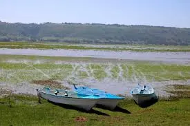 Lake Ol-Bolosat springs back to life, bringing hope to fishermen