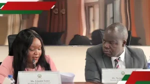 IEBC Reconstitution: Over 300 Kenyans Apply for Chairperson’s Position, Panel Shares Details
