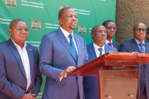 Govt begins purchase of 321,000 bags of wheat from farmers