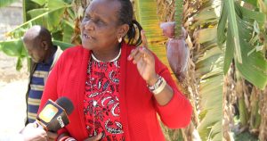Samburu leaders call for peace