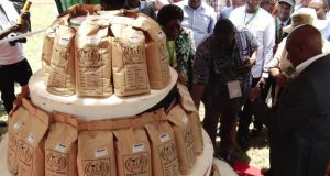 KALRO introduces 7 new soya varieties