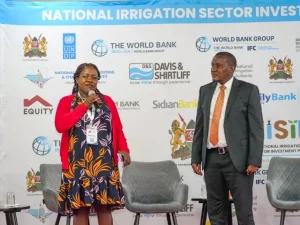 State to lease large irrigation schemes to boost food production