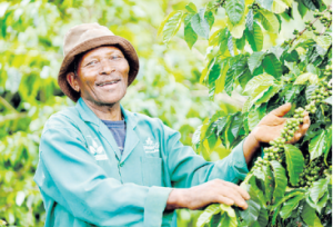 Elijah Nyagah: Retiring in farming is fulfilling