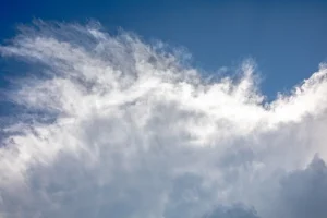 Amazon satellite launch stopped due to weather