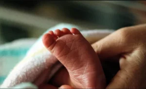 Kericho: Investigations as newborn baby abandoned in tea farm