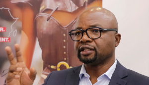 Unlocking Africa’s Leather Potential