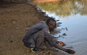Why rainwater harvesting should be stepped up in urban areas