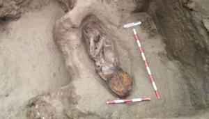 Elite 5,000 year-old woman’s tomb unearthed in coastal Peru