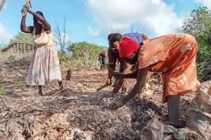 ‘No toilet, clean water’: Mothers of the Quarry: Women Breaking Stones to Feed their families