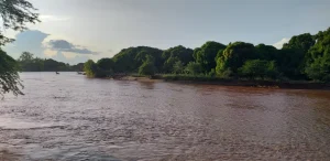 Garissa Governor sounds alarm as Tana River swells again