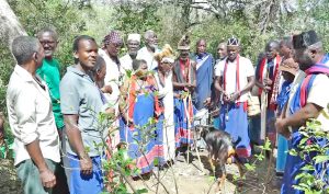 Kaya elders relocate sacred shrines for Mwache Dam