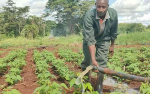 Mobile solar irrigation service puts Embu village on the map