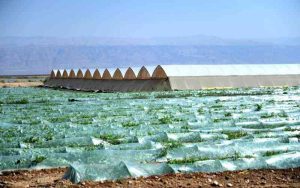 Ruto flags off Galana Kulalu project to boost food security