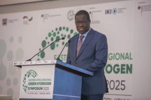 Germany, Kenya in talks to tackle green hydrogen barriers with Ksh.17B investment boost