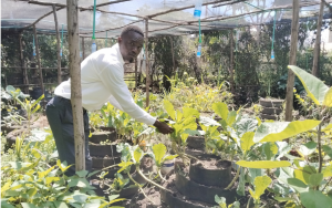 Youth bet on farming to beat Covid despair, now a learning hub