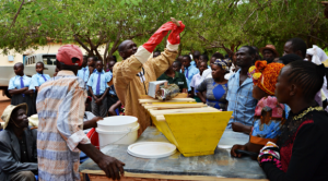 Bees disappearing from Kitui due to degradation of environment – official