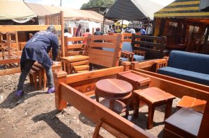 From Congo to Kenya: The long journey of Mahogany