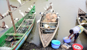 Kisumu Stakeholders Call for Unified Action on Plastic Waste Ahead of World Environment Day