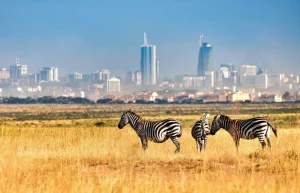 Conservationists slam Atwoli’s call to scrap Nairobi National park for urban expansion