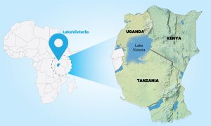 Will a joint fishing licence end turf wars in L Victoria?