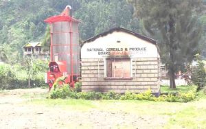 Kagwe warns of food crisis after Maua depot looting