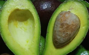 International Avocado Day: Kenyans Celebs Who Don’t Like Avocados