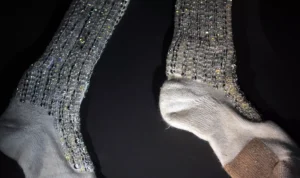 Michael Jackson’s dirty sock sells for over Ksh.1 million in France