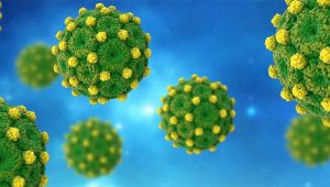 WHO calls for action on hepatitis, announcing hepatitis D as carcinogenic