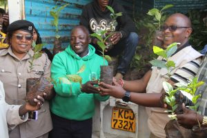 Laikipia farmers venture into coffee growing to turn around fortunes