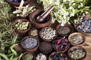How Traditional Herbal Healing Balanced My Blood Sugar, Without a Single Insulin Injection