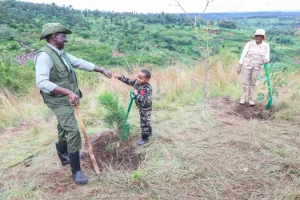 Ruto to preside over 9th edition of Kaptagat Forest Conservation Saturday