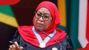 Tanzania’s Air Ticket Levy: Kenyans Perturbed by Suluhu’s Move to Raise Fees, Share Mixed Reactions