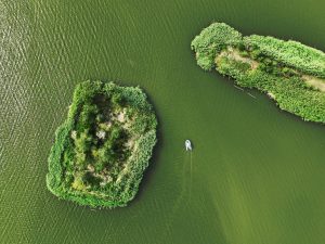 Xinhua Headlines: China champions global cooperation on wetland conservation at COP15