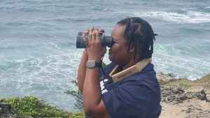 Experts call for advanced tech to protect marine mammals