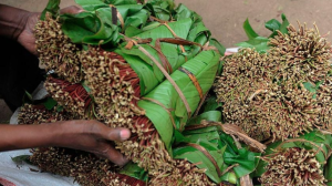 City Hall to build market for miraa traders in Ziwani