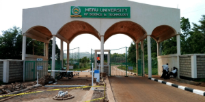 Mother dies while escorting daughter to join Meru university