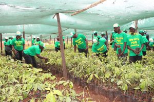 Take advantage of state programmes, youth urged